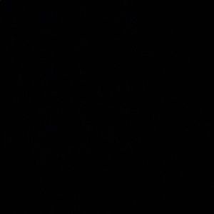 Meet your Posher, Ally